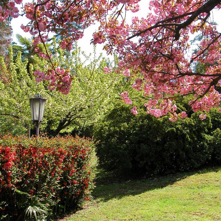 Отель Du Parc Lake Maggiore Экстерьер фото
